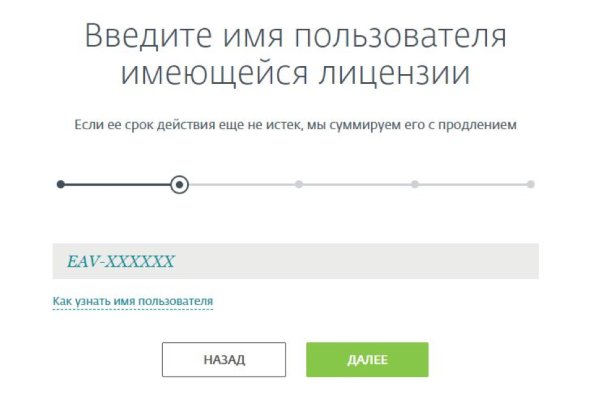 Kraken найдется все